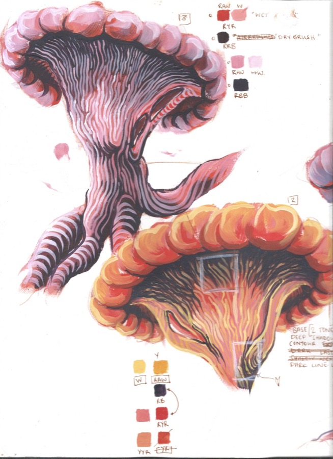 Gouache studies of two mushroom creatures, one pink with a clawed foot, one orange with a frilled cap, with paint-mix swatches and notes
