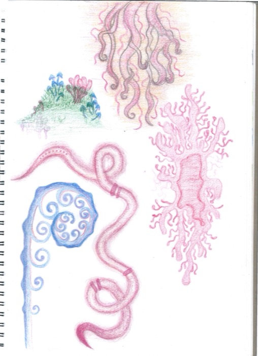Coloured-pencil studies of pink tendrils, a small moss mound, branching coral and a blue unfurling fern frond